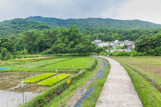 HKU’s “HSBC Rural Sustainability Programme” wins UN-Habitat Asian Townscape Award
 